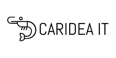 logo-carideait